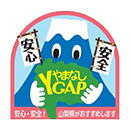 ޤʤGAP